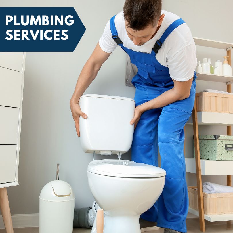 Plumbing Company in Chapin, IL